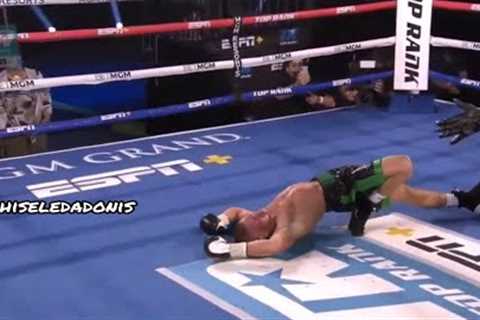 These Boxers Need To Be JAILED For These KNOCKOUTS | Everybody Sent To The Shadow Realm