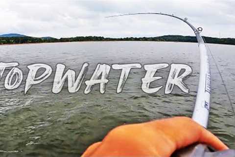 Fishing for Fall Bass with Topwater! (Lake Guntersville)