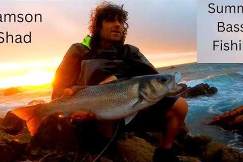Summer Bass Fishing With Lures 2022 - The Samson Shad (Part 1)