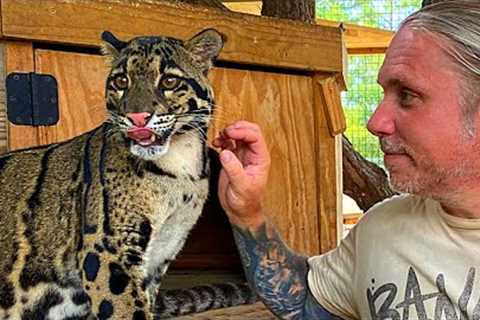 COOLEST REPTILE PETSHOP IN THE COUNTRY!! | BRIAN BARCZYK