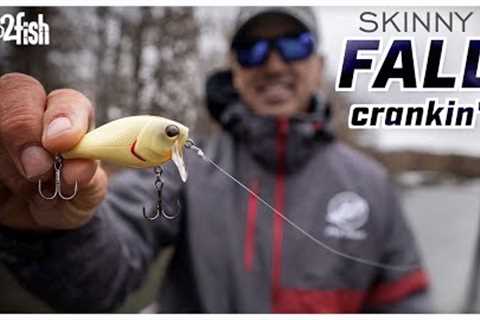 How to Fish Shallow-Diving Crankbaits for Fall Bass