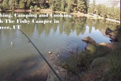 Fishing, Camping and Cooking in Beaver, UT. We got trout! Catch and cook!