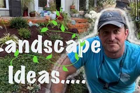 How to plant on a slope ⛰ | &amp; in clay sand soil | 🌳