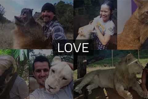 Humans And Animals Friendships 2019 | Unbelievable Friendship! | Love is the key