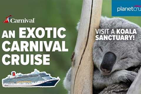 Explore exotic destinations with Carnival Cruise &amp; visit a koala sanctuary | Planet Cruise