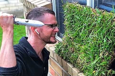 #1 Mistake You Make Growing St Augustine Grass