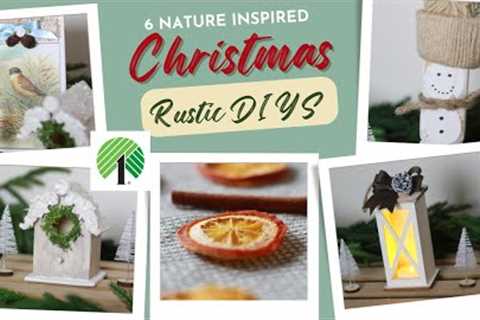 🎄6 DIY Dollar Tree Christmas Decor Crafts🎄 Nature Inspired Crafts | Bluebird Home &amp; DIY