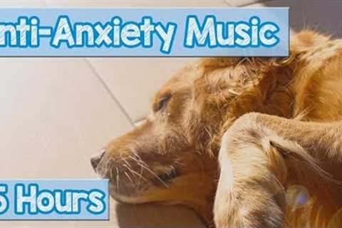 Calming Music for Puppies with Anxiety! Soothing Lullabies for Anxious and Stressed Dogs! (Tested)