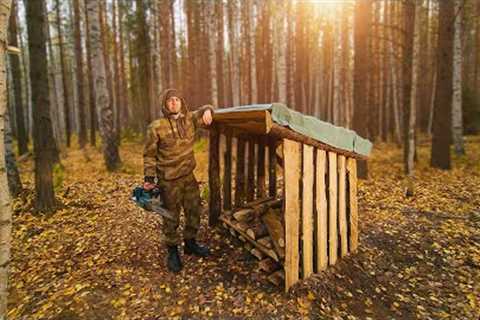 Underground house in the forest. New warehouse for firewood from old boards.