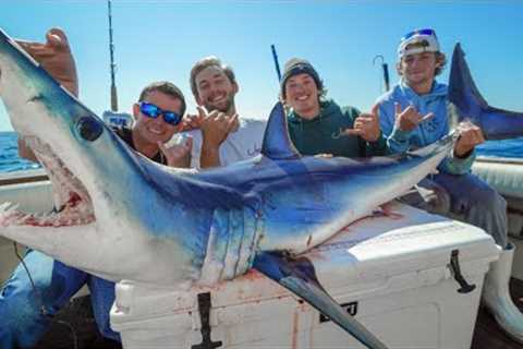 Mako SHARK! Catch Clean Cook (Offshore Fishing New York)