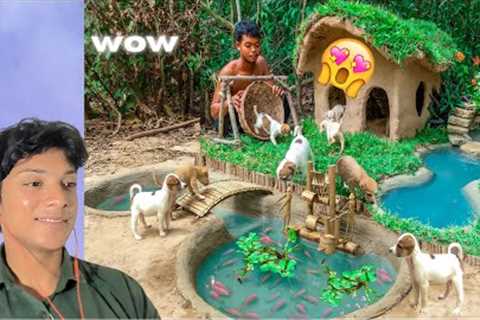 People Building Cute🥰 House For Homeless Puppies (Dog House)