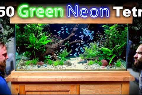 The Green Neon Tank: 150 Fish in EPIC 1st Shop Aquarium Build (Aquascape Tutorial)