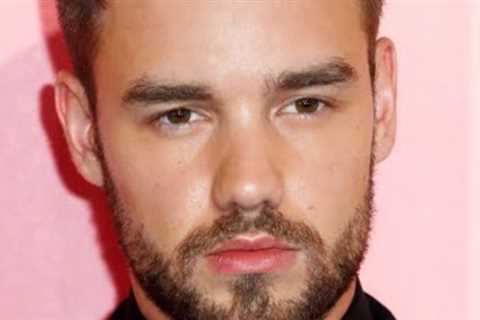 The Shady Side Of Liam Payne