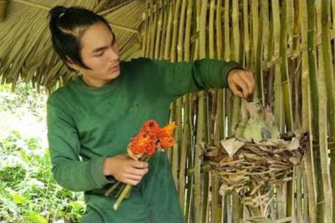 Survival alone, survival instincts, skills, taming wild birds
