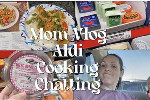 MOM VLOG-ALDI SHOP WITH ME-CHATTY CATHY-COOKING - STAY AT HOME MOM LIFE