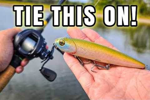 The ONLY Fall Lure I Needed! (Topwater Bass Fishing)