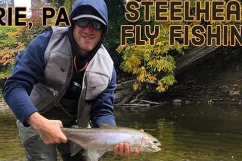 I GOT NO DRAG- Lake Erie Steelhead Fly Fishing Prime Time