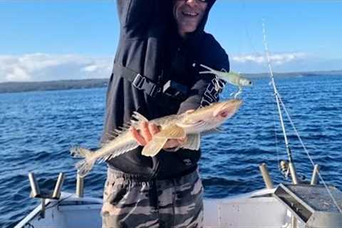 lure fishing lake macquarie