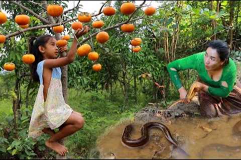 Mother with daughter catch Eel and pick natural fruit in forest- Cooking eel eating delicious
