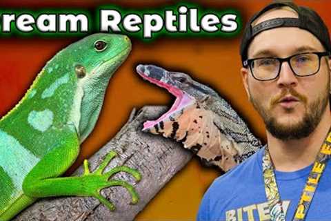 Top 5 Dream Reptiles 2022 | Did I Finally Buy My Illegal Bucket List Reptile!?
