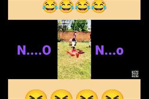 funny videos| viral video| comedy video try not to laugh||