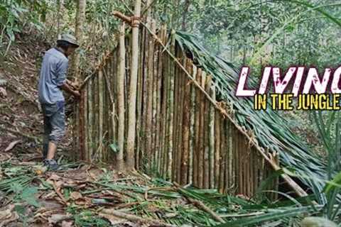 Bushcraft Alone Survival, Shelter Building Struggle, Wild Chicken Hunt and Cooking at Night