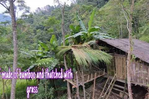 Build a new life, complete the roof with grass -;Super survival Skills