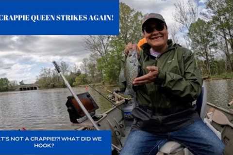 Crappie Fishing Weiss Lake! Part 1!