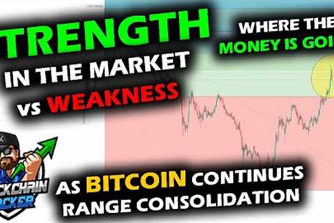 STRENGTH Scattered in Altcoin Market Segments as Bitcoin Price Chart Consolidates, 2018 Flashbacks