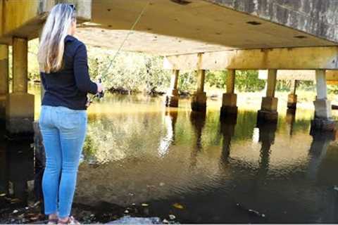 We FOUND The BRIDGE SLABS!!! (Catch Clean Cook)
