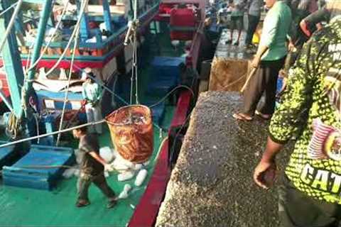 Amazing Boat Catching Fish. Traditional Fisherman Catch A Lot Of Fish. #3