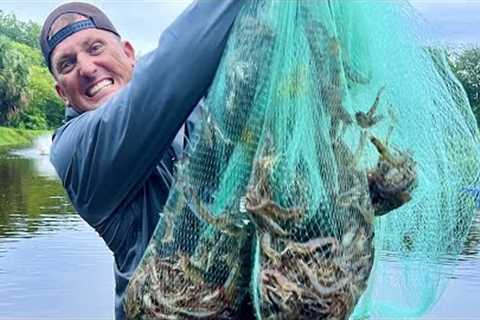 We Caught Millions of Shrimp in ONE cast of the net!!! {Catch Clean Cook} Guatemala