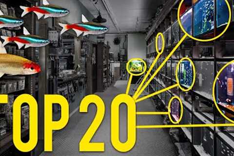 Top 20 Popular Fish Sold at Aquarium Co-Op