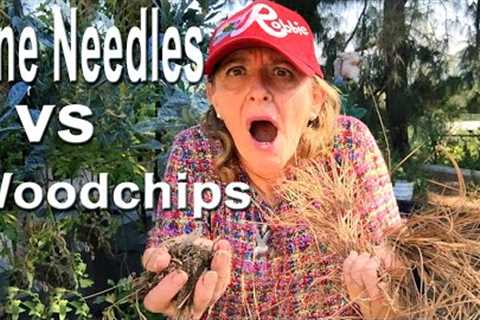 Gardening Ideas for Home Garden, Pine Needles for Mulch or Composting, Making Soil Container Garden