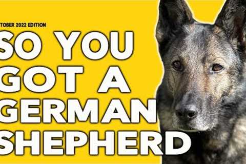 So You Got a German Shepherd - Tips and Dog Training Advice for Owners of German Shepherd Dogs