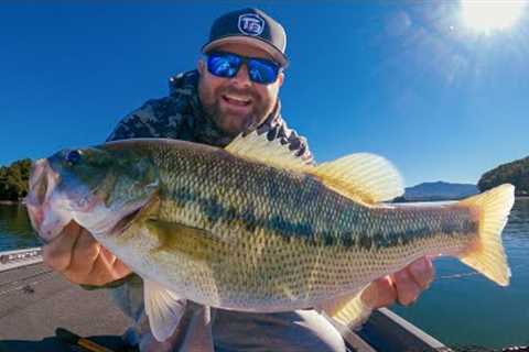 Fall Bass Fishing: Trick To Target Offshore And Suspended Bass!