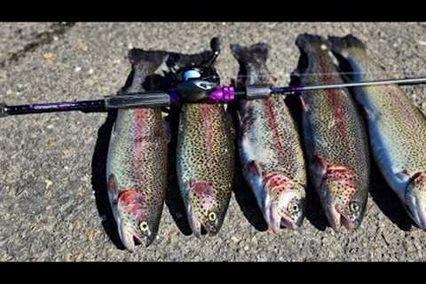 Sight fishing for trout at Pardee Lake with my new BFS Rainshadow ultralight rod by DBIX Custom Rods