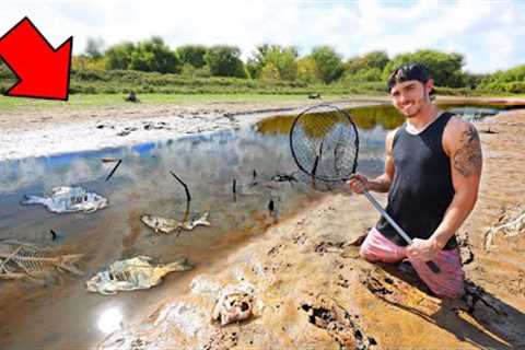 Saving Abandoned fish from DRIED UP Lake... (Sad)