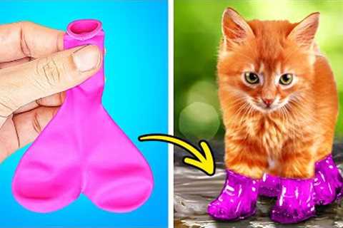 CUTE TIKTOK PET HACKS | CLEVER GADGETS AND FUNNY CRAFTS