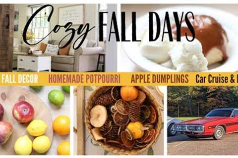 Fall Food Ideas ~ Easy Fall Projects ~ Homemade Potpourri ~ Fall Pillow ~ Homemade Apple Dumplings