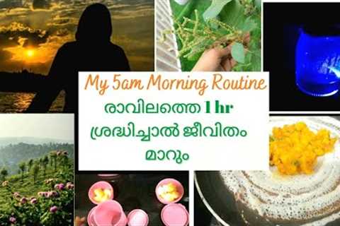 5AM Morning Routine | Early Morning Hacks for a Health &amp; Productive Day |Fathima Reshma..