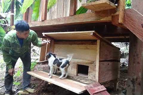 Green Forest Life - How To make a house for a puppy, Wild building farm life, Primitive Skills