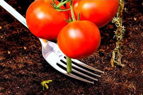 35 GENIUS GARDEN HACKS THAT ACTUALLY WORK