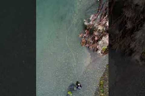 Incredible fly fishing!!