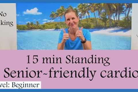 15-minute Senior-friendly Standing Workout / Low Impact &amp; Easy on the Joints