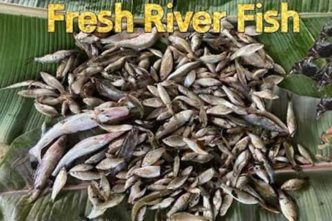 FISHING FRESH RIVER FISH | Catch and Cook @Rod Reel and Camp