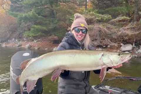 BIG NEWS (4 Fall Muskies)