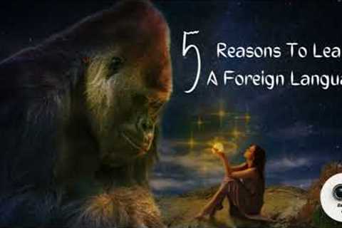 5 Reasons To Learn A Foreign Language