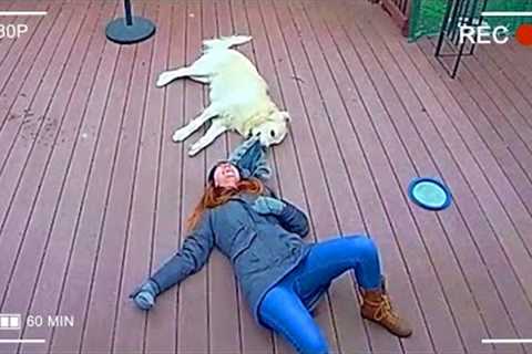 40 Ridiculous Moments Caught on CCTV Camera, You Laugh You Lose