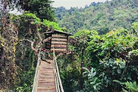 FULL VIDEO 30 DAYS, build a bamboo house, build a free life, build a shelter